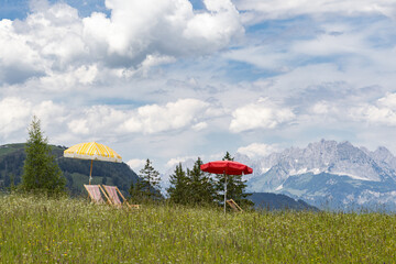 Parasols on a meadow in the mountains