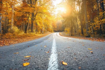 Poster - Scenic autumn road lined with vibrant trees in fall foliage, with sunlight filtering through the branches, creating a serene path.