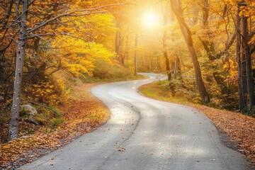Poster - Winding road through a vibrant autumn forest with golden leaves and sunlight filtering through the trees, capturing the essence of fall.