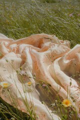 Wall Mural - Blanket in a field of flowers