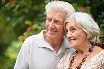 Wall Mural - Loving mature couple in the park in summer