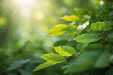 Wall Mural - Vibrant green foliage illuminated sun with bright light creating soft glow