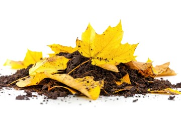 Poster - A natural scene showing a pile of dirt with yellow leaves scattered on top