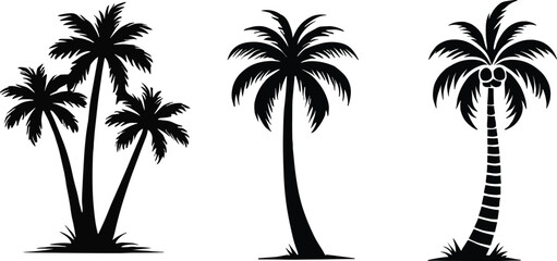 Set of palm trees silhouette, vector illustration.