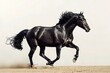 © KWY - a black horse is running in the sand