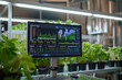 © SOLDATOOFF - A smart monitor showing real-time plant growth data in a hydroponic farm, emphasizing precision agriculture and plant health tracking with advanced hydroponic farming technology