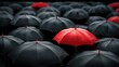 © Boraryn - A red umbrella among a crowd of black umbrellas - Concept of success, of being special as a leader, with its own identity, having a difference, new ideas and special skills among the others