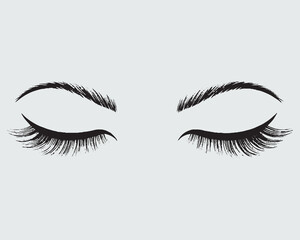 Eyelashes set on white background, girl, salon, vector illustration, mascara, illustration, beauty, eyelash, lash, vector, false, eye