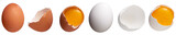 Organic eggs collection - Ready to use Premium PNG Cutout Isolated image