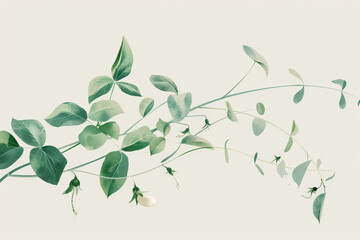 Delicate Green Botanical Illustration