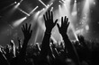© Kishore Newton - Concert crowd with raised hands, stage lights in background.