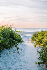 Beach Path