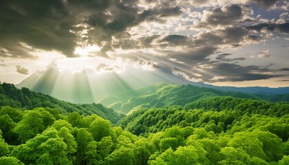 dramatic green clouds with sunlight rays background 