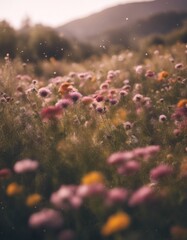 flower blue landscape nature field poppy flowers sky spring meadow