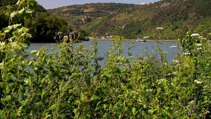 Poster - the landscape of the german upper middle rhine valley 4k 25fps video