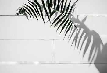 Poster - palm shadow leaf white concrete background wall tree