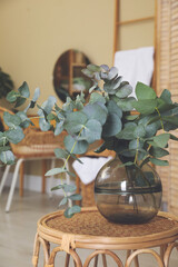 Wall Mural - Beautiful eucalyptus branches in glass vase on wicker table indoors. Interior design