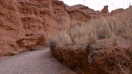 Wall Mural - Red rock canyon in Kyrgyzstan, panoramic view