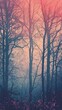 © Leli - A misty forest glows with ethereal light