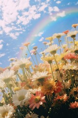 Poster - Flower field, beautiful rainbow sky.  by rawpixel.