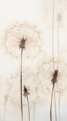 Sticker - PNG Dandelion flower backgrounds plant.