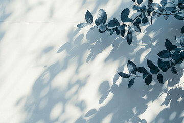 Sticker - white background with shadows of leaves and flowers, abstract, beautiful, soft light, white wall, minimalist, nature shadow overlay,