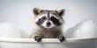 © Sujid - Cute raccoon enjoying a bath with fluffy foam, raccoon, bath, foam, animal, cute, adorable, wildlife, relaxation, spa, hygiene