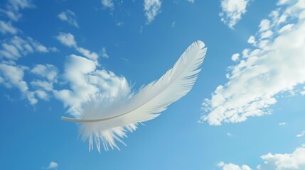 Poster - Single white feather descending in the sky
