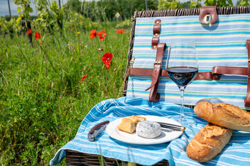 Picnic on old vineyard with red poppies flowers and green grass with glasses of red Cahors wine, cheese and baquette, summer in Cahors wine making region in France, weekend background