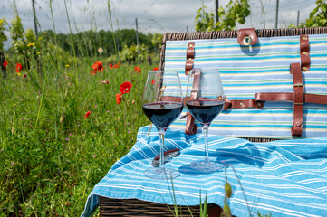 Picnic on old vineyard with red poppies flowers and green grass with glasses of red Cahors wine, summer in Cahors wine making region in France, weekend background