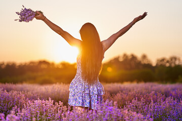 Poster - Woman in a lavender field