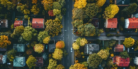 Canvas Print - Aerial view from drone