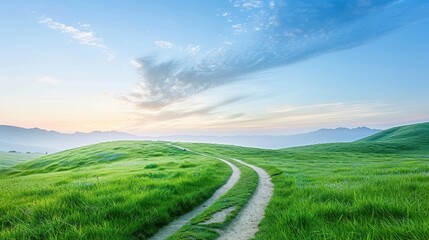 Wall Mural - a road winds through a lush green field with a clear blue sky overhead
