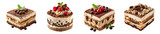 Assorted tiramisu desserts with berries and chocolate indulgent treat transparent background