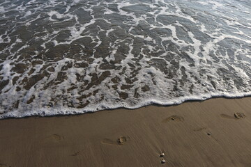 Wall Mural - waves on the sand