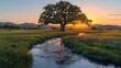 © studio clever - Majestic oak tree by stream at sunset - generative ai