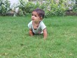 © Lovely - 8-9 months old baby girl playing in garden , crawling in garden , crawling baby girl photoshoot, selective focus