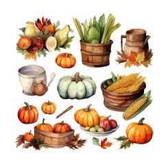 Wall Mural - Watercolor Thanksgiving holiday elements isolated on a white background, thanksgiving pumpkins, white pumpkin, autumn harvest collection