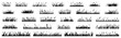 © MonteStudio - Silhouette grass with spikelet collection. Set of hand drawn beach grass line cad. Illustration for elevation architectural element, side view, grass section. Turf coating banners for edging