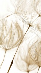 Aufkleber - Close-Up of Dandelion Seeds in the Wind