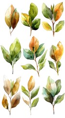 Wall Mural - Vibrant Watercolor Magnolia Leaf Collection on White Background