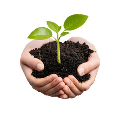 Hands Holding Plant isolated on transparent background