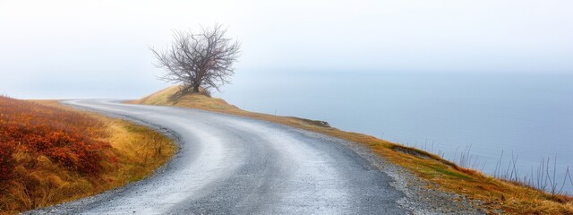 Poster -  A solitary tree atop a hill, overlooking a winding road that descends towards the ocean