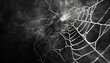 © Oleksiy - Creepy white spider web on black background