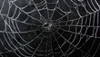© Oleksiy - Creepy white spider web on black background