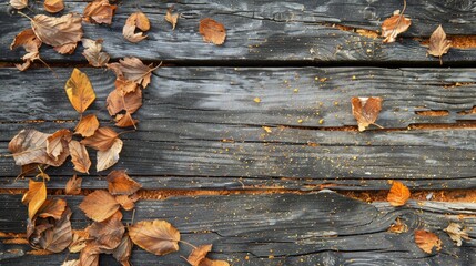 Poster - Autumn display of dried leaves on aged wood