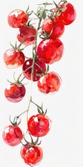 Wall Mural - Hand-drawn Watercolor Illustration of Fresh Cherry Tomatoes on a White Background