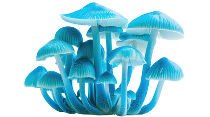 Florescent mushrooms on a transparent background