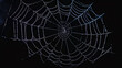 ©  Mohammad Xte - Halloween Spider Web Isolated on Black Background, Spooky Halloween Decoration, Creepy Spiderweb Illustration