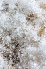 Poster - A detailed shot of individual snowflakes, great for winter-themed contexts